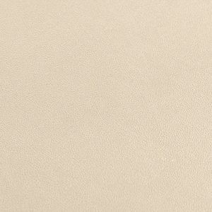 Earring Display 81 x 36 x 90 mm CD-P134-NP-22