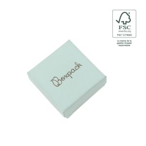 Ohrringschachtel aus FSC®-Karton in Aquamarin 50 x 50 x 23 mm F40-AQ