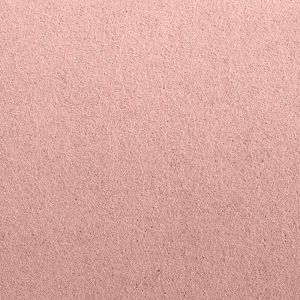 Rosa-MF-97