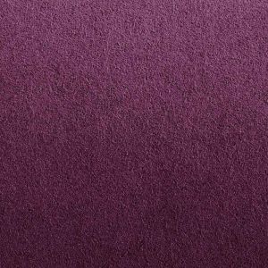 Purple-MF-97