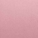 Rosa MF-297