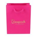 Saco de papel mate 120 x 150 x 65 mm B-M-FX