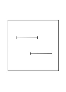 Taco para alianzas para bandeja expositora de joyería y bisutería T-24A-N